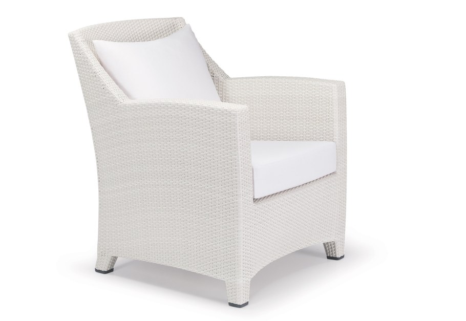 Оноре Домье судья