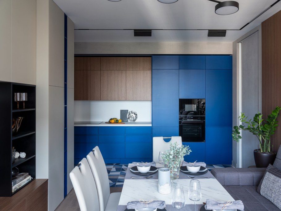 Оноре Домье адвокаты