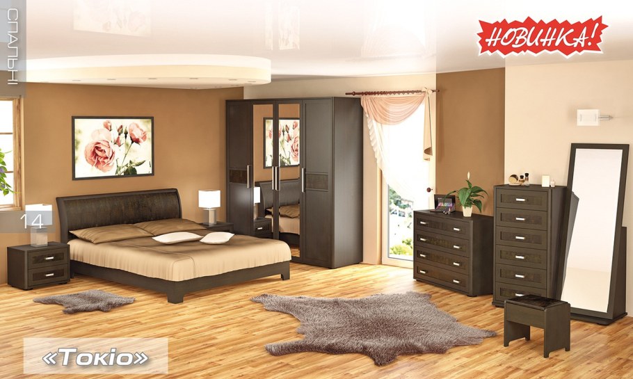 Шкаф-купе Токио SN13.13