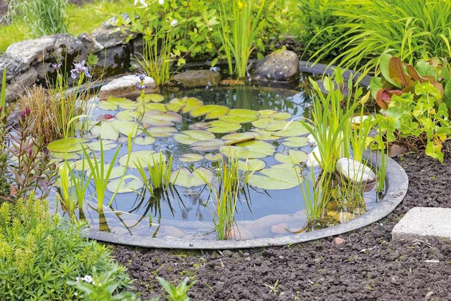 Декоративный пруд на даче