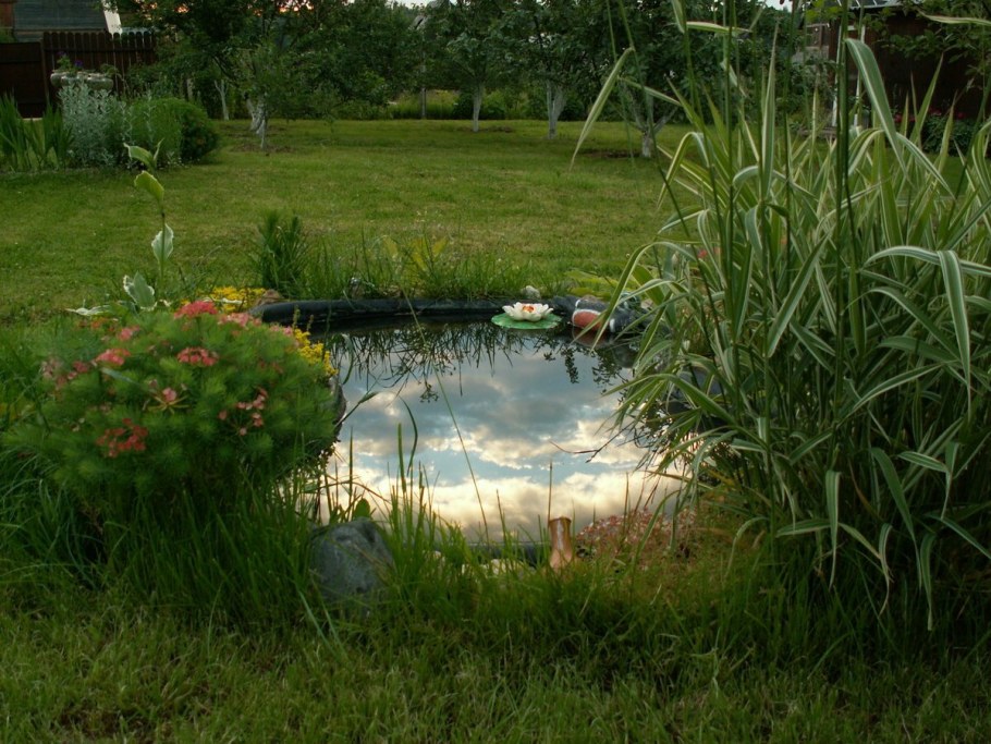 Декоративный пруд на даче