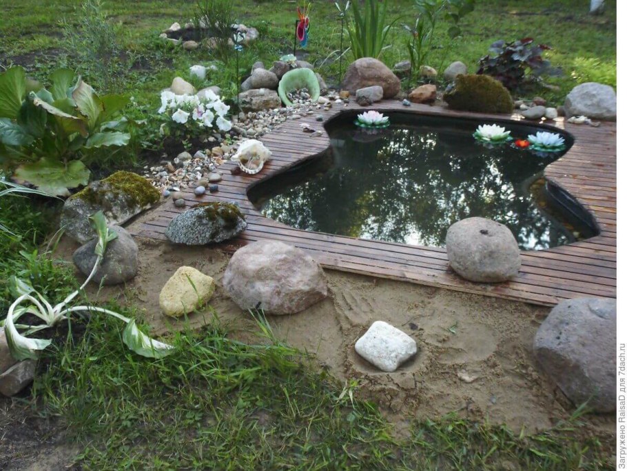 Огородный прудик