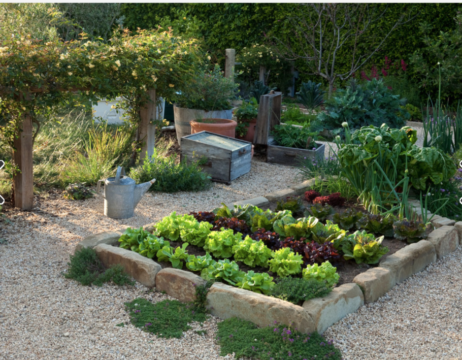 Обустройство дачного участка