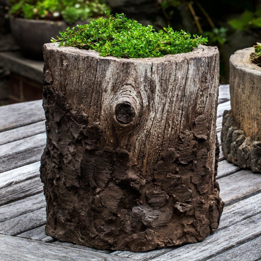 Камница пень кашпо