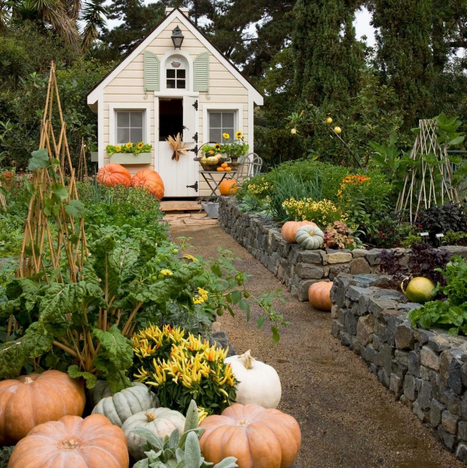 Красивые дачи на 6 сотках