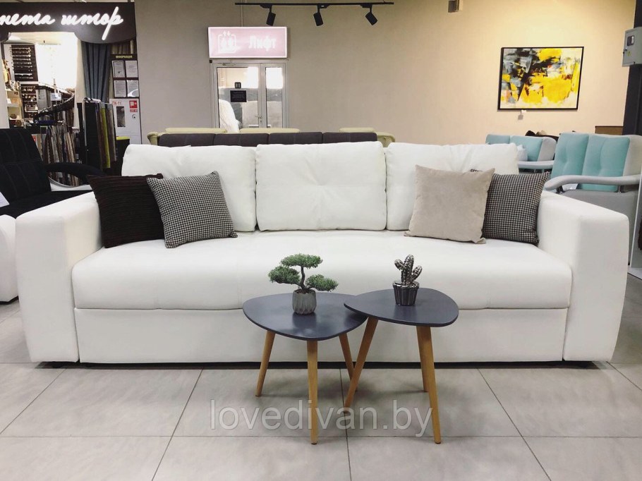 Кожаный диван Европа Пинскдрев