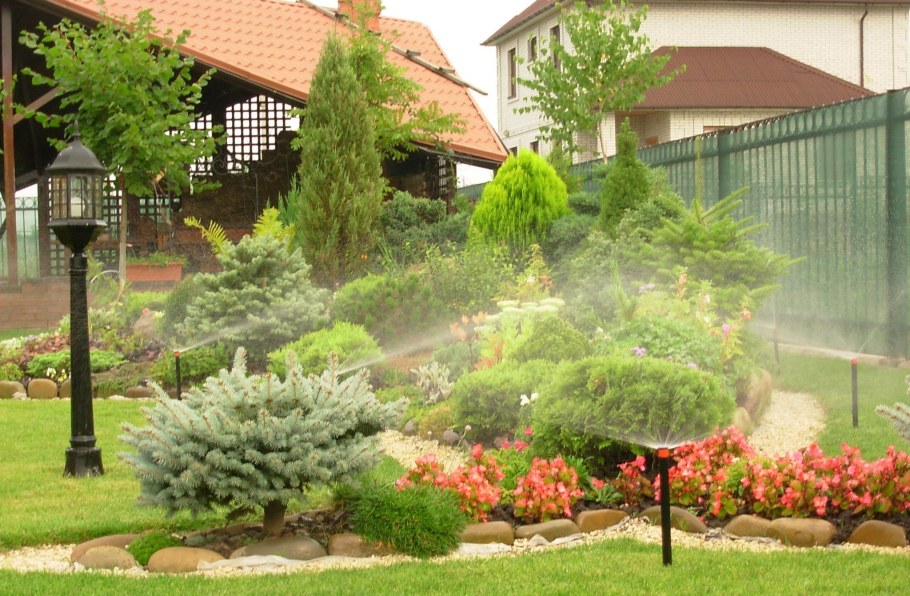 Ландшафт вдоль забора с хвойниками