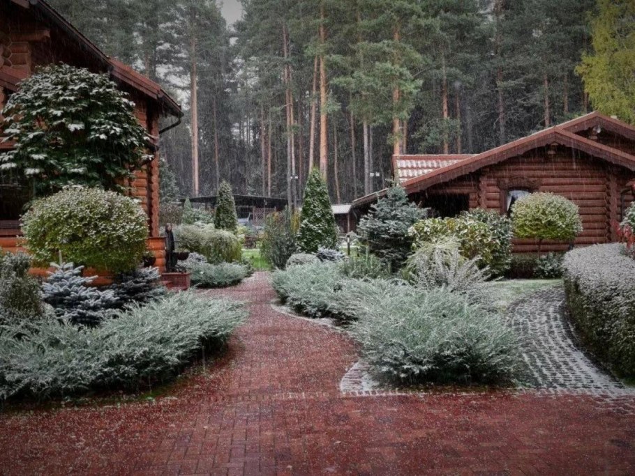 Хвойно Вересковый миксбордер