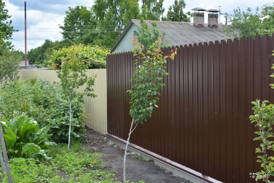 Забор из профлиста на даче