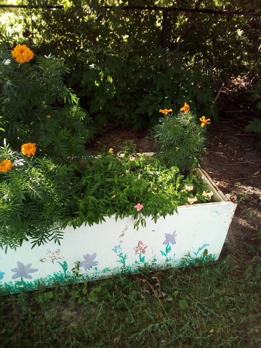 Цветник из холодильника