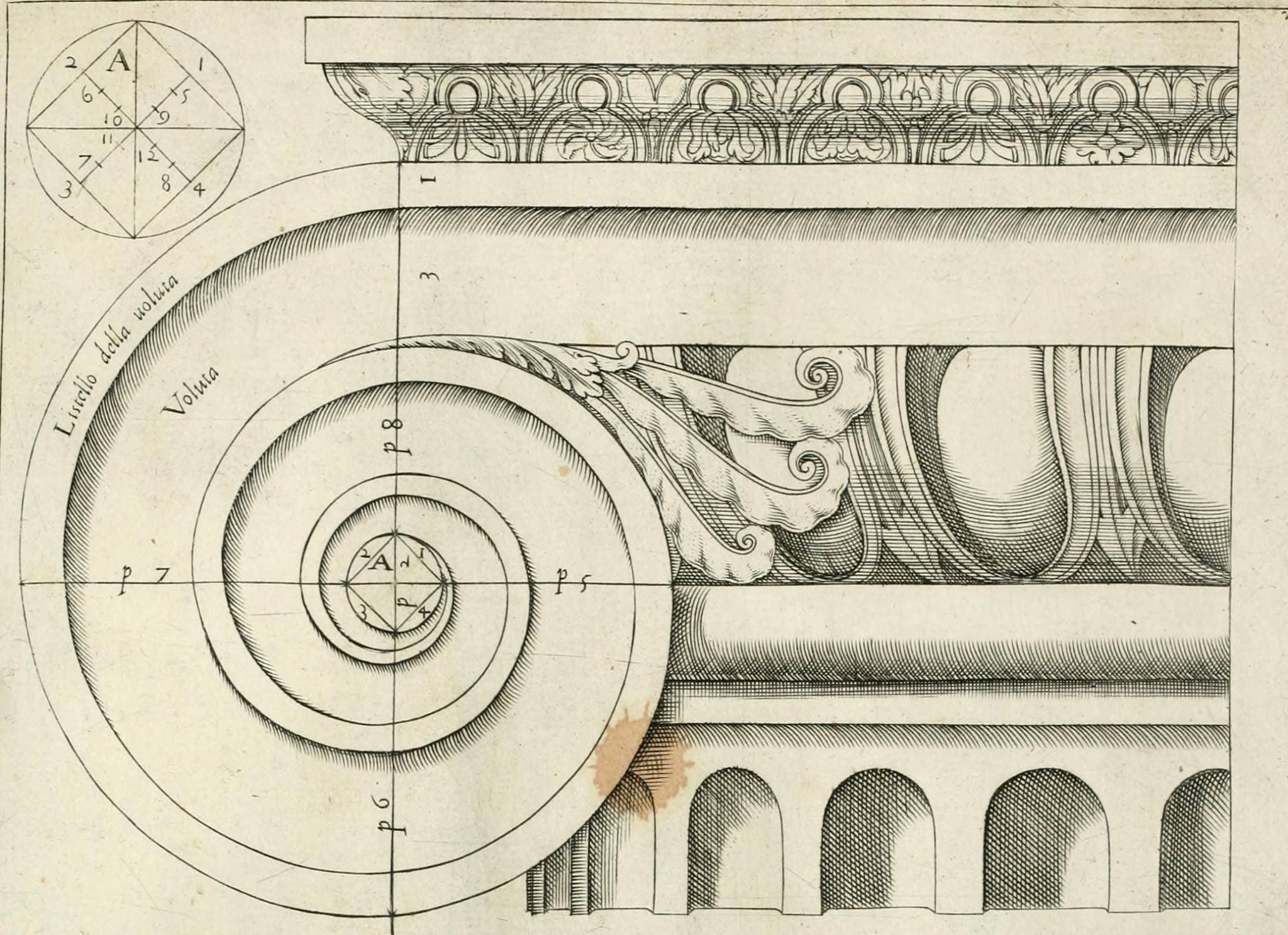 Ионическая капитель чертеж