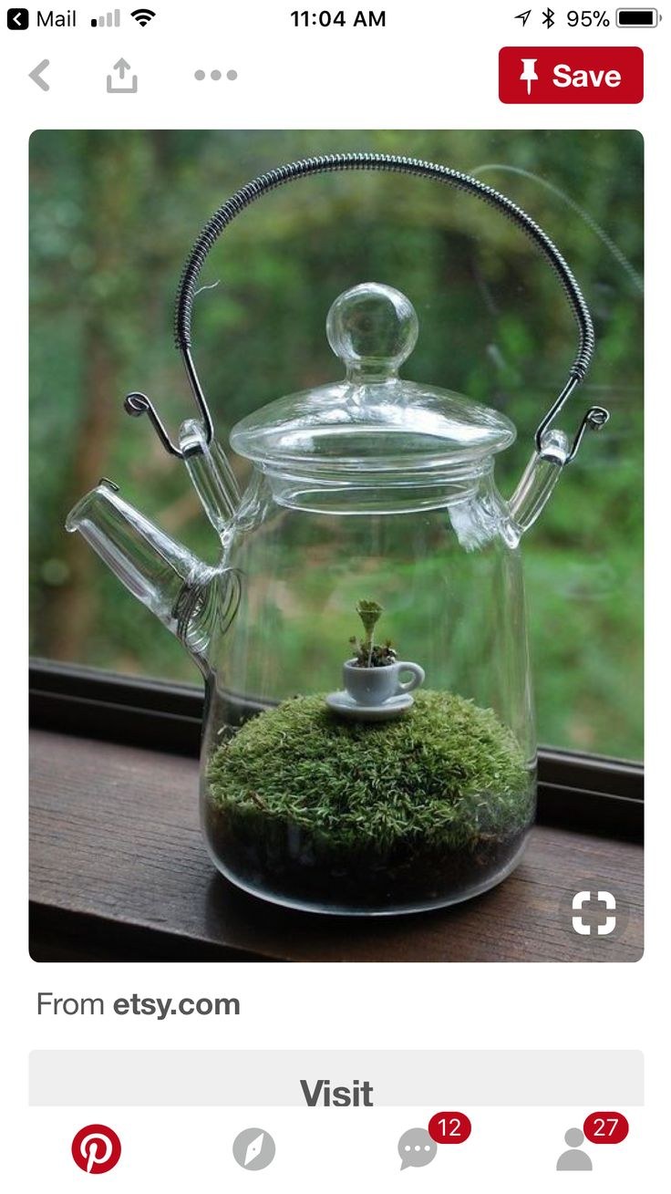 Флорариум в чайнике