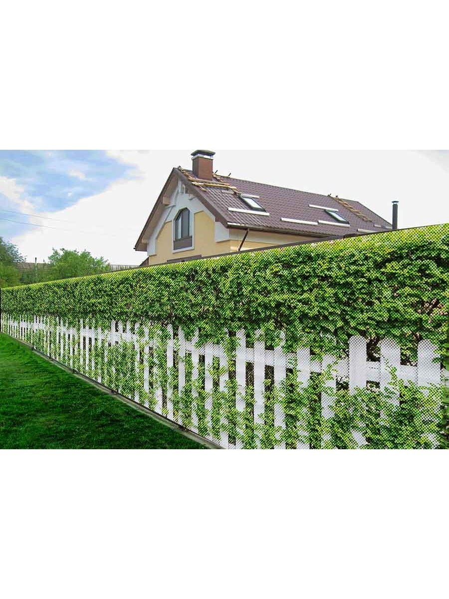 Пергола шпалера