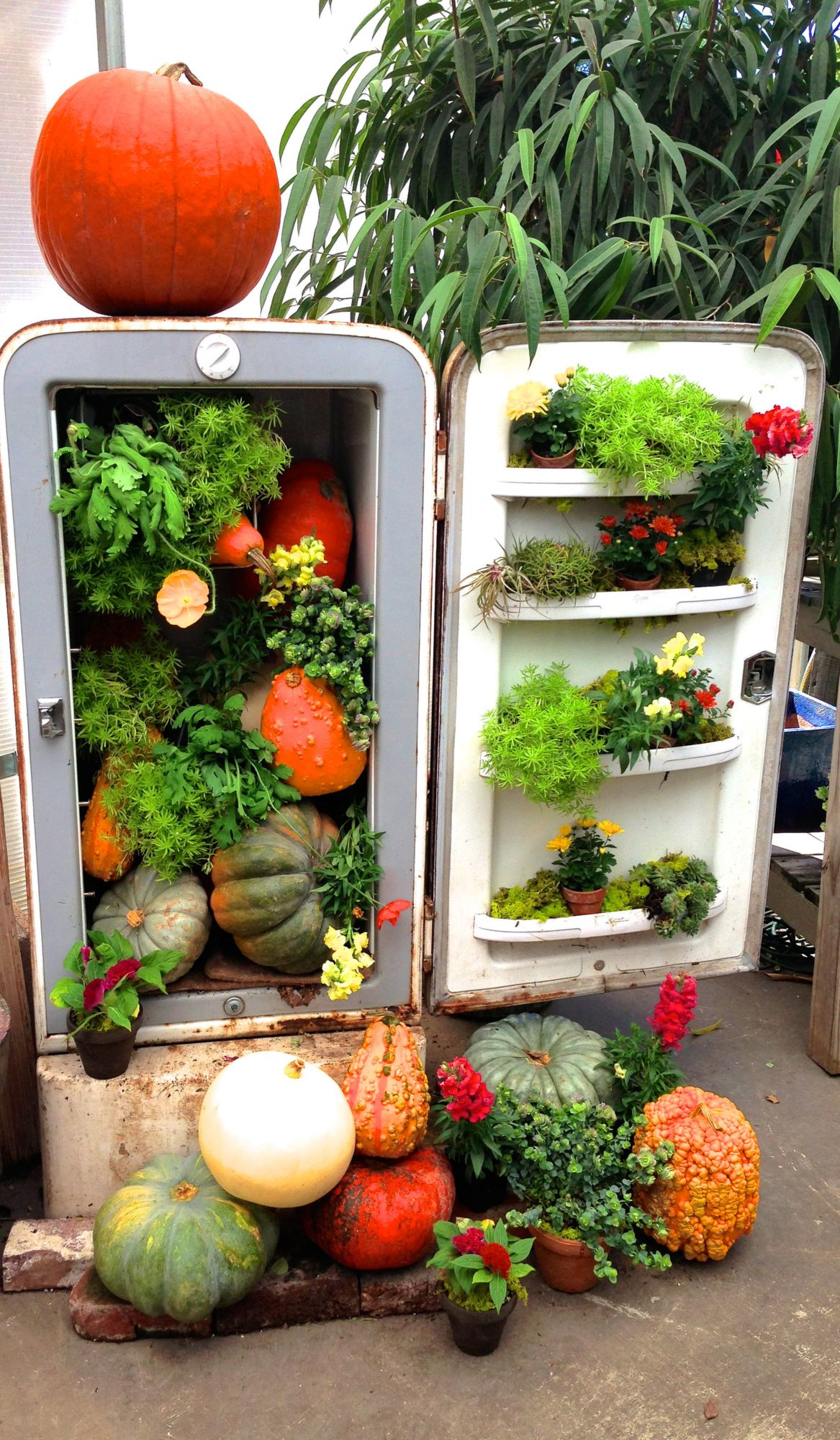 Цветник из холодильника