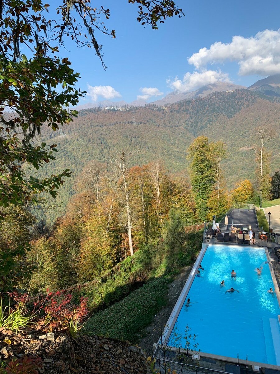 Грин флоу красная Поляна