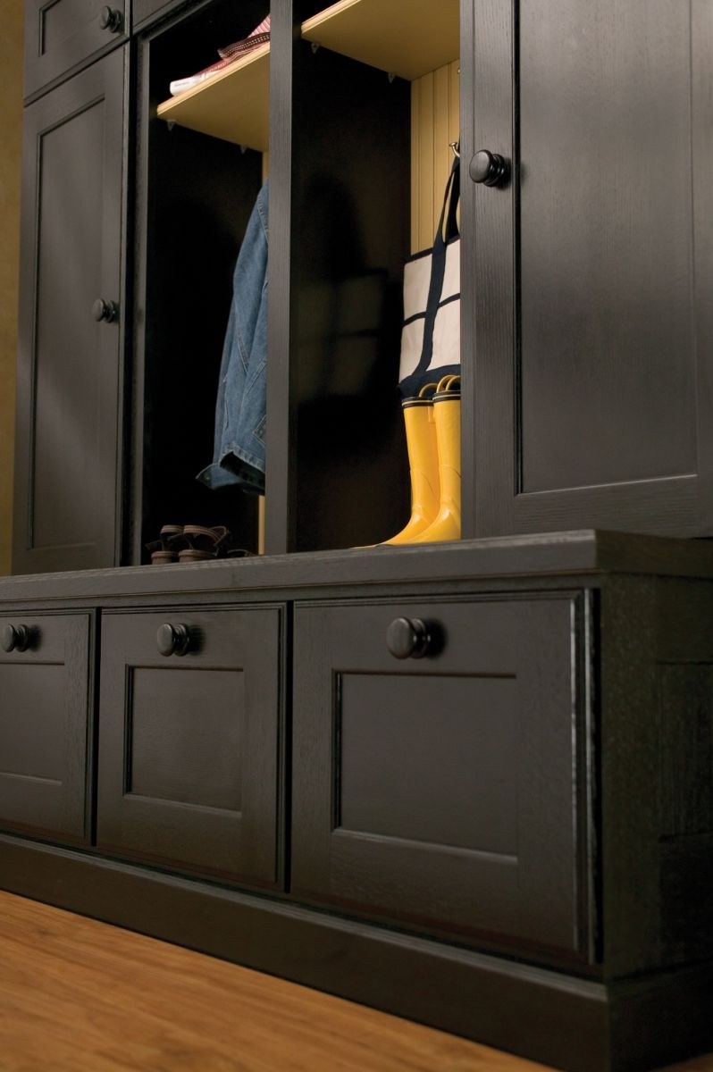 Крашеные шкафы в прихожую