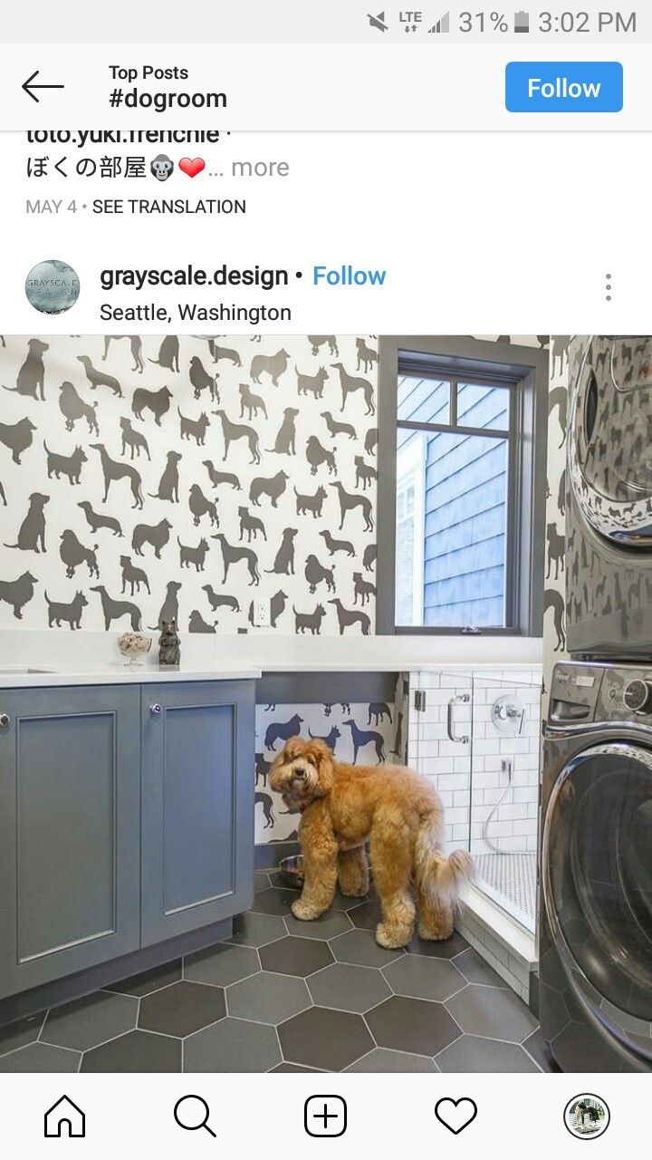 Когтеточка угловая, 80x28