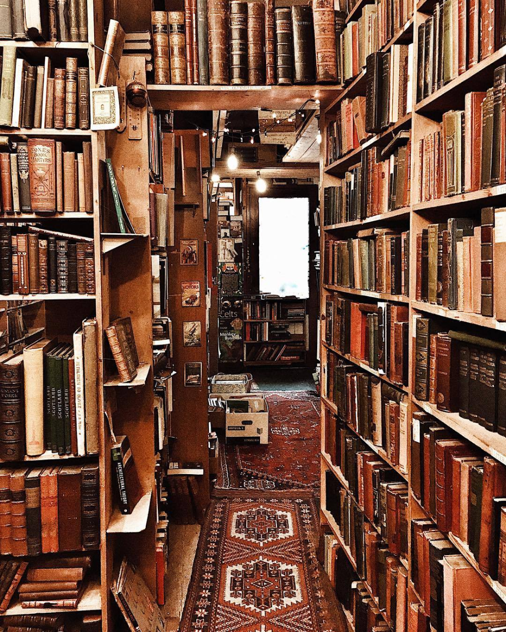 История домашних библиотек. Полки для книг. Старинный шкаф с книгами. Библиотечные полки. Старинный стеллаж с книгами.