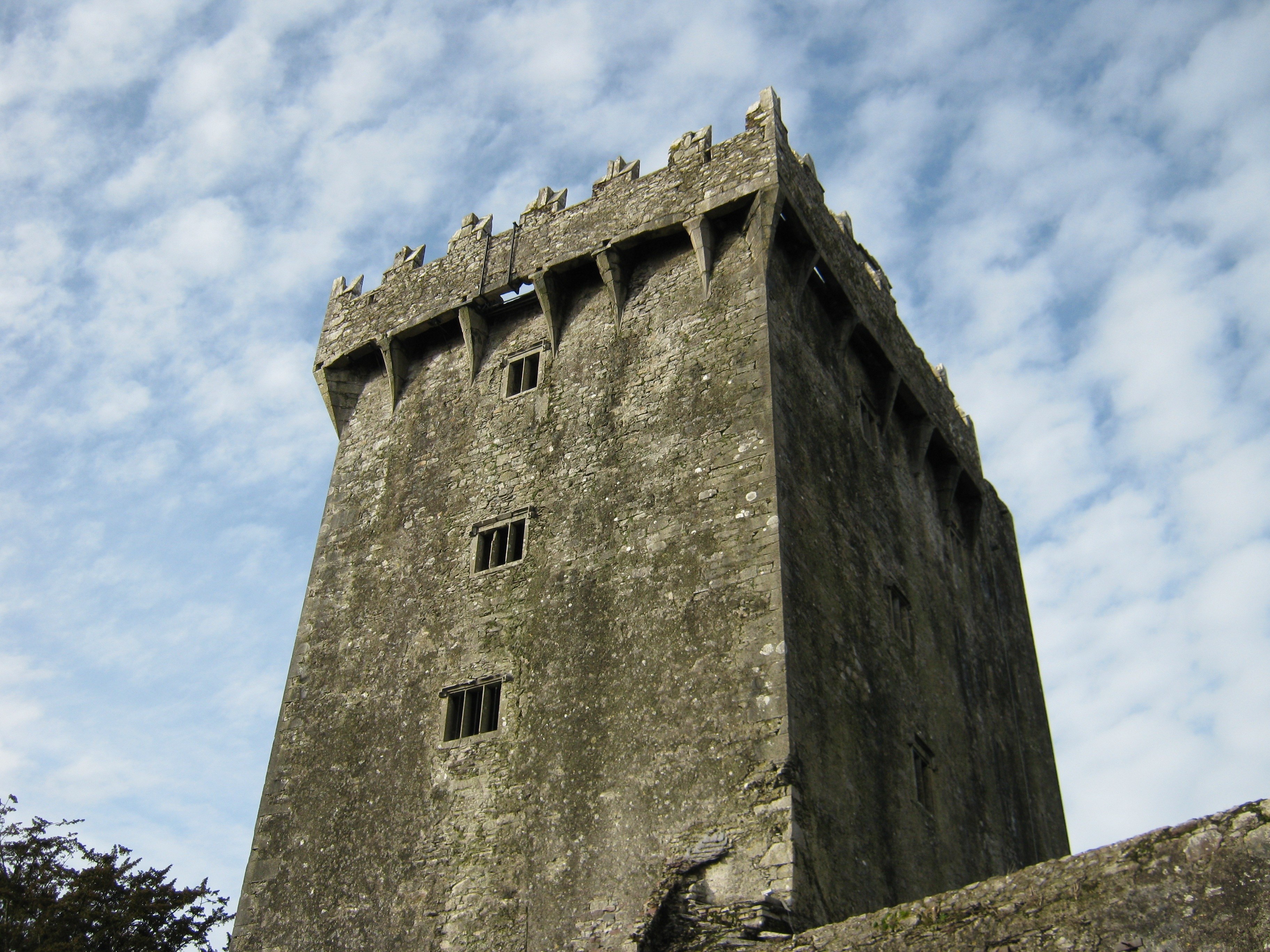 Castle keep. Башня донжон замков в средневековье. Крепость Мец донжон. Донжон Япония. Крепостные стены Рыцарский замок донжон.