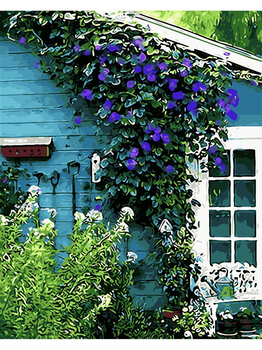 Ипомея Живая изгородь