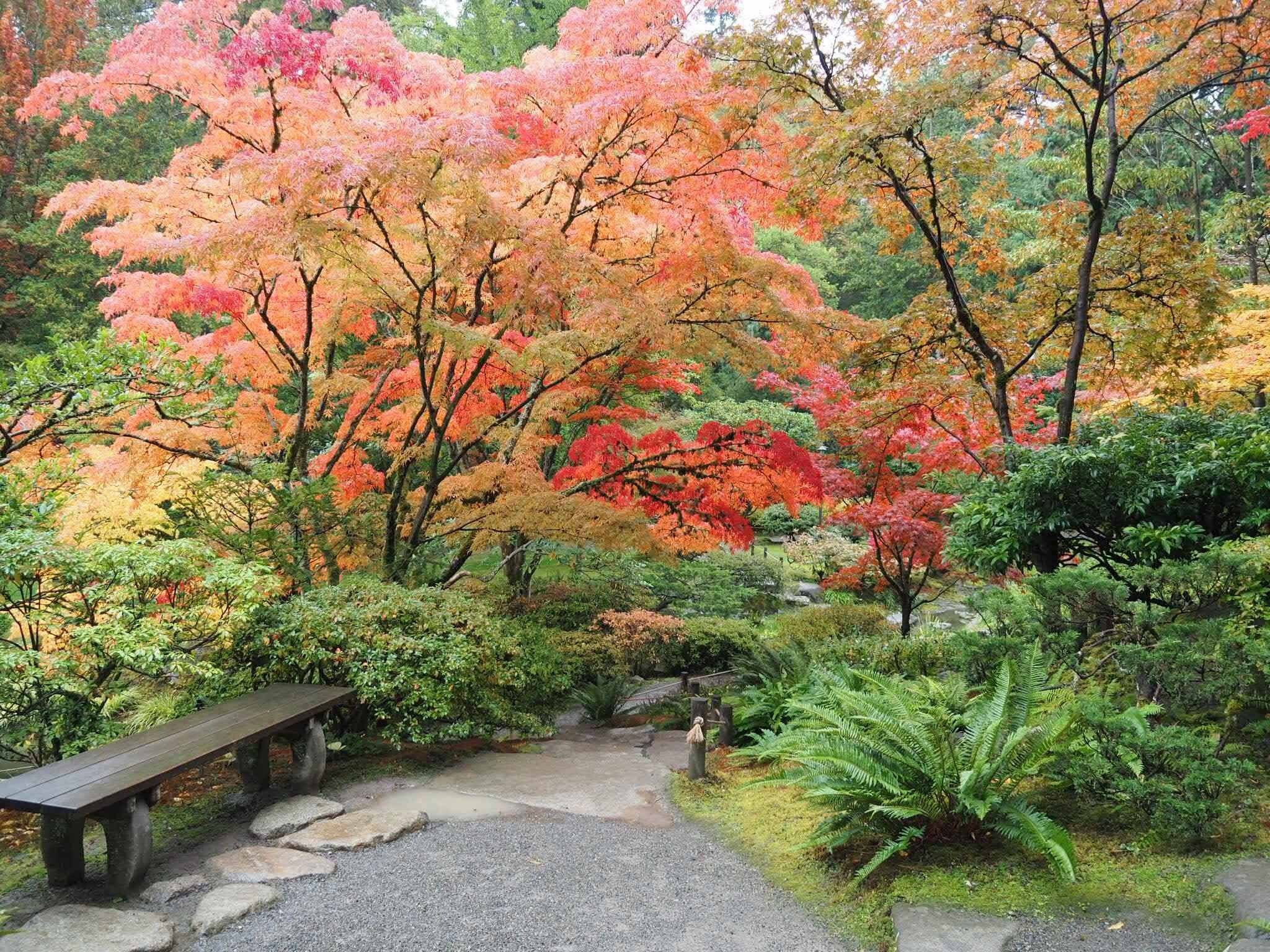 Японский сад в находке