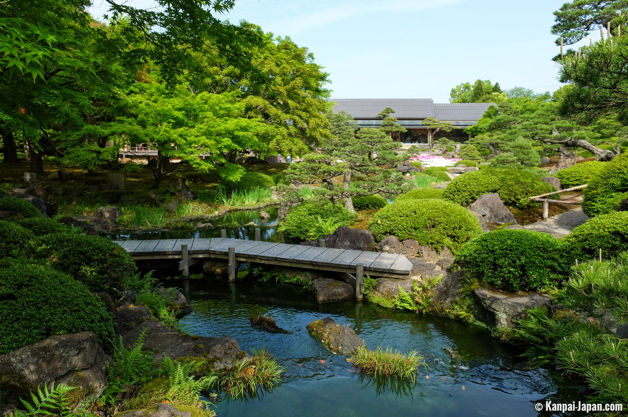 Японский сад Энси в Находке фото