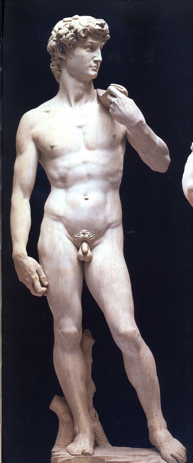 Экорше Микеланджело