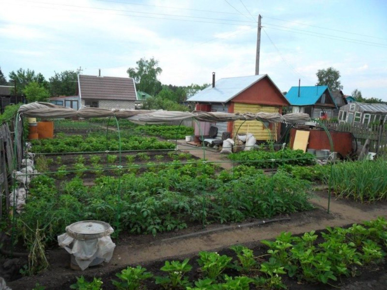 Деревенский дом с огородом