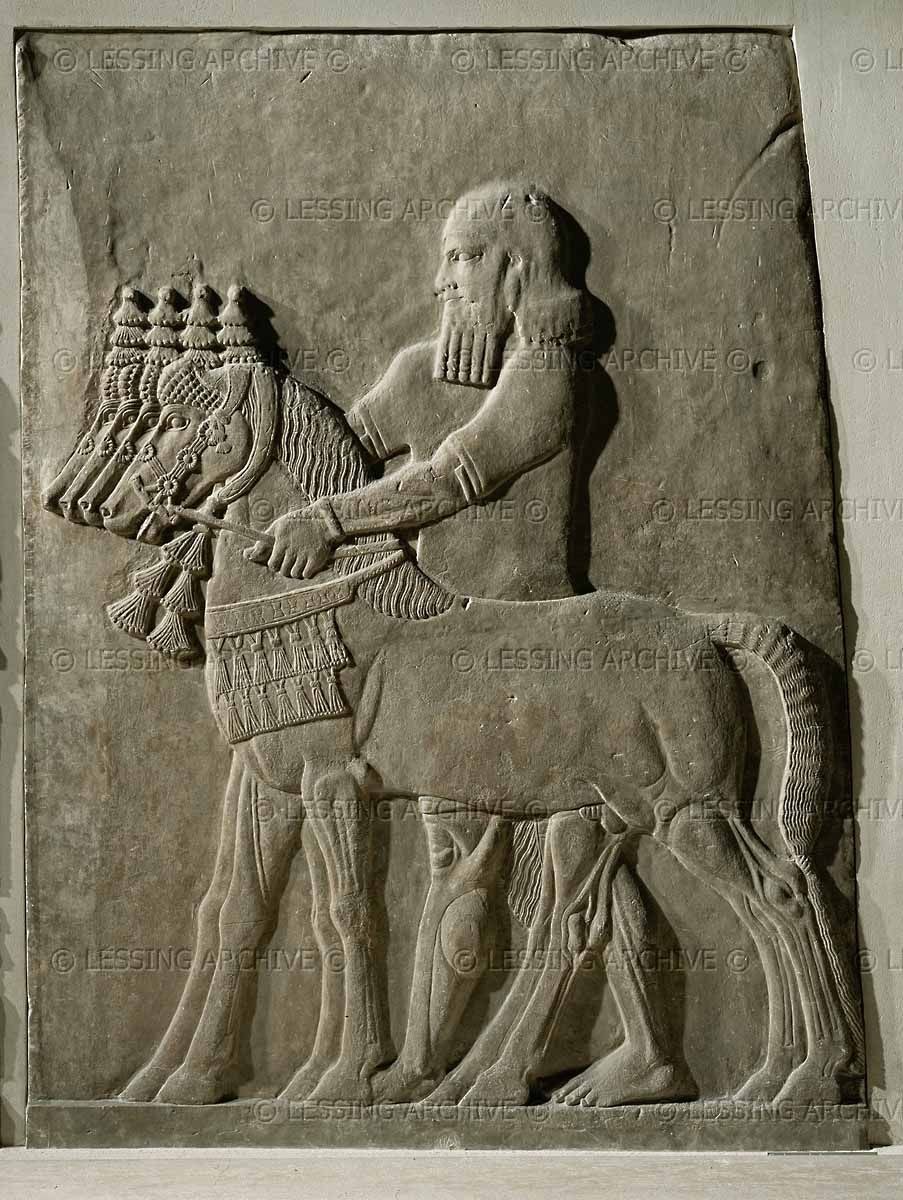 Ортостат (69 фото)