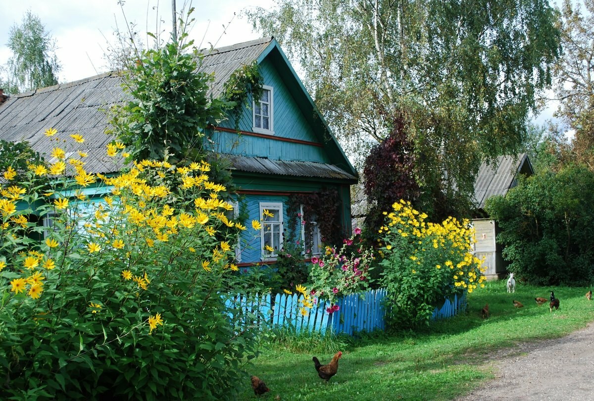 Огород березка. Русская деревня палисадники. Деревенский дом с палисадником и лавочкой. Деревенский домик. Деревенский домик в саду.