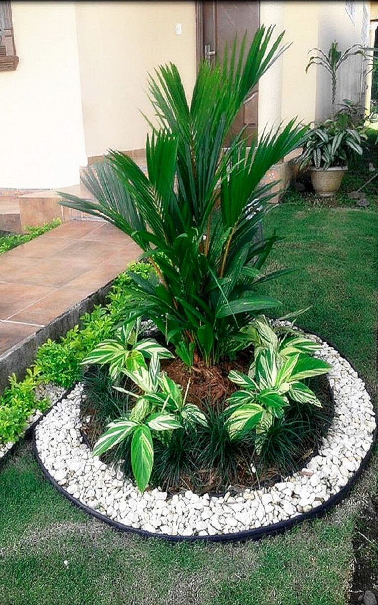 Клумба с пальмой