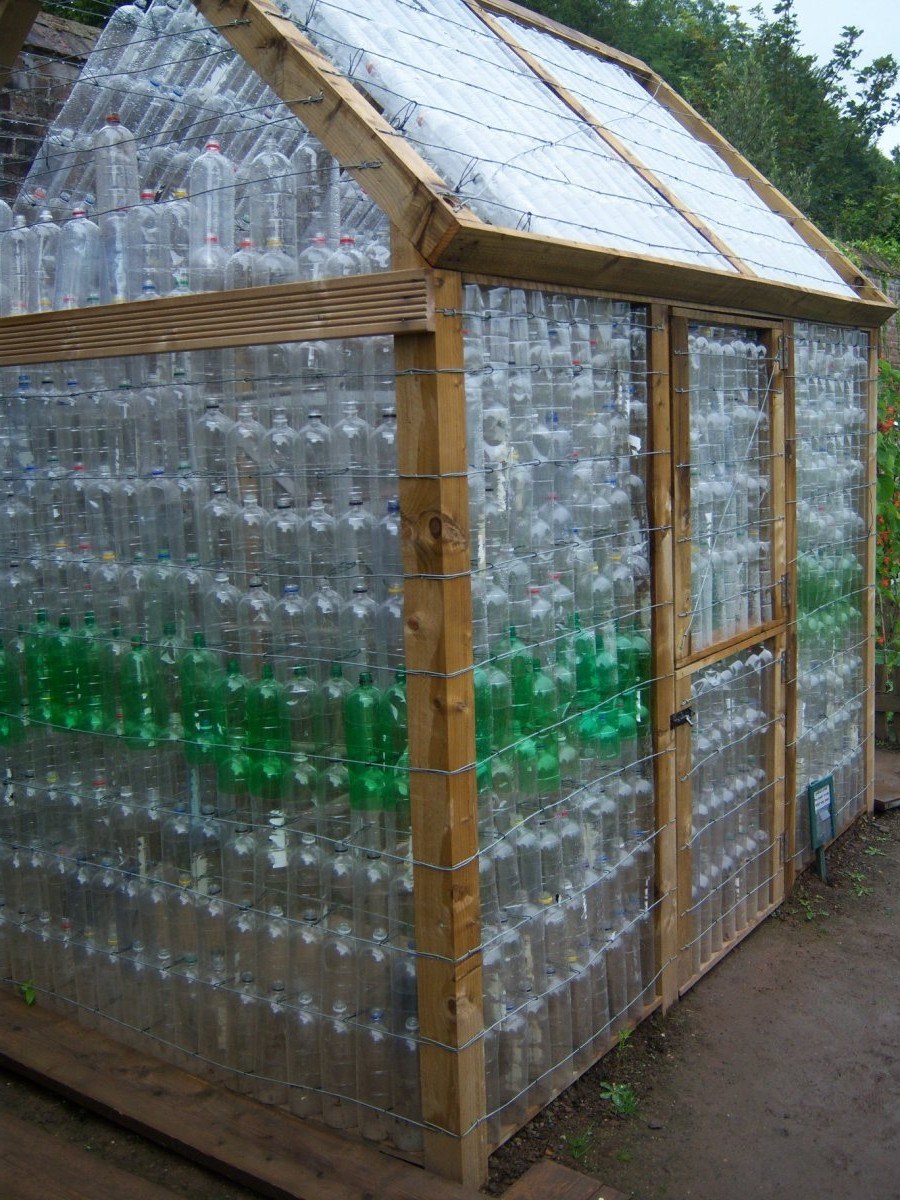 Теплица из пластиковых бутылок