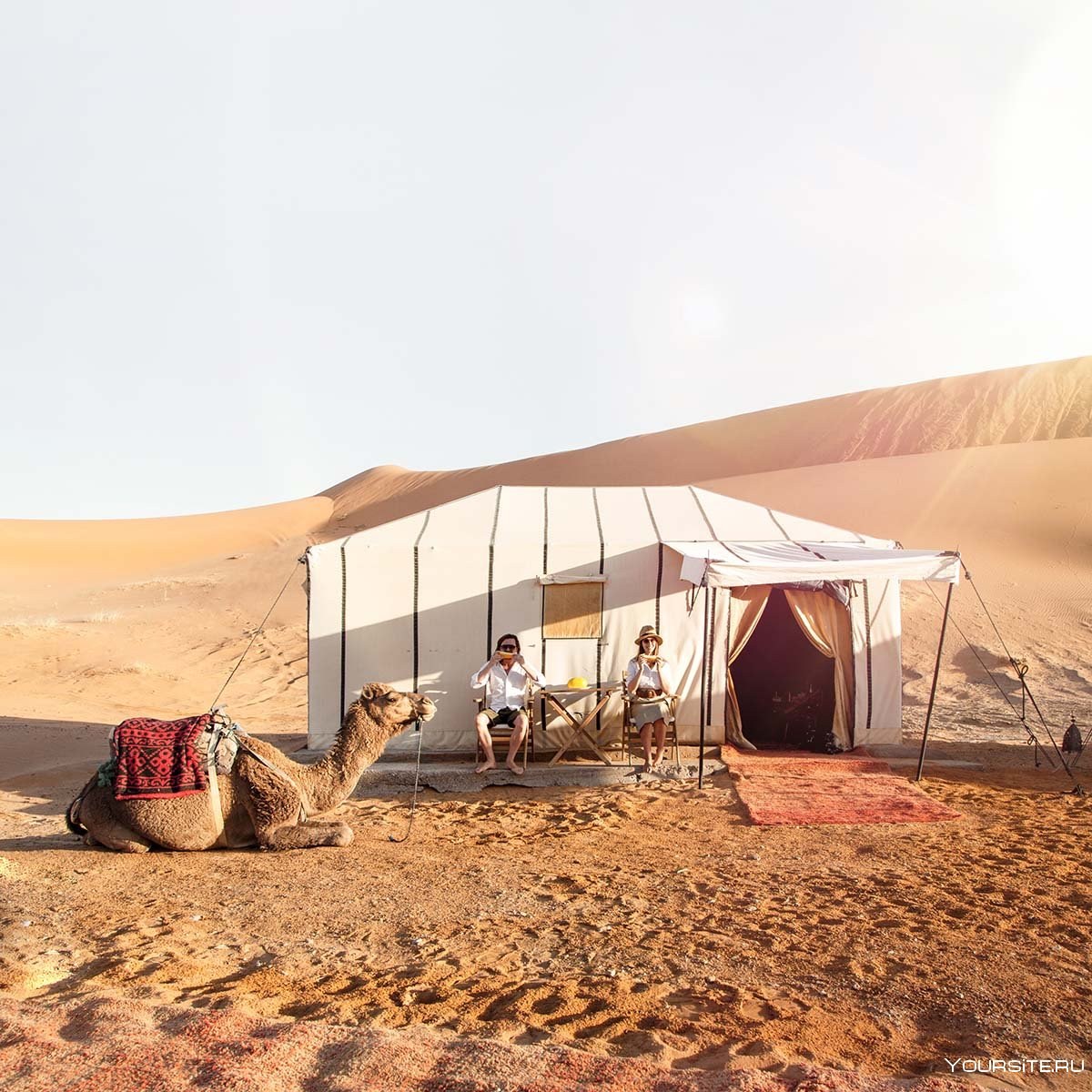 Жизнь и быт в пустыне. Шатер бедуинов фелидж. Марокко поселение Мерзуга. Марокко Desert Luxury Camp. Фелидж жилище бедуинов.