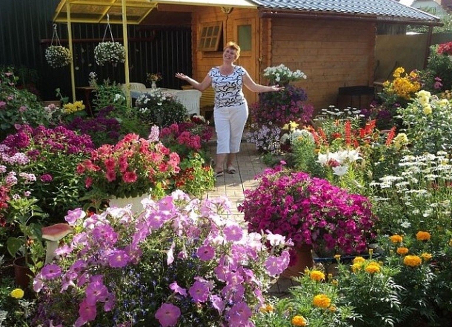 Цветы на огороде и на даче фото
