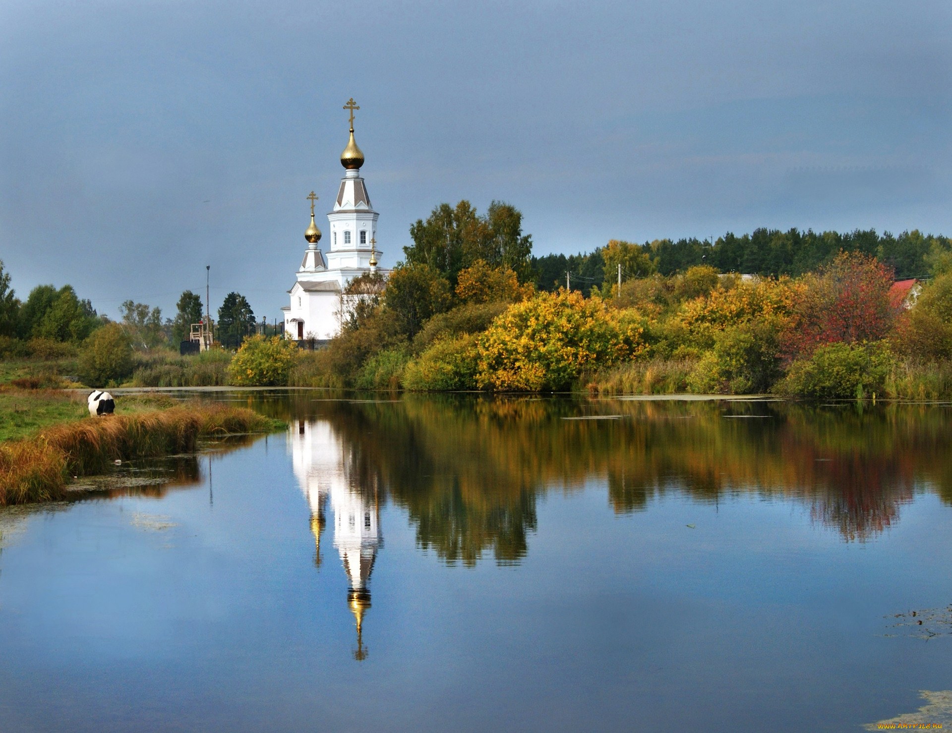 River church. Русь река береза храм. Белый храм у озера в Раменском. Церковный пруд Низино. Озеро стерж Церковь.