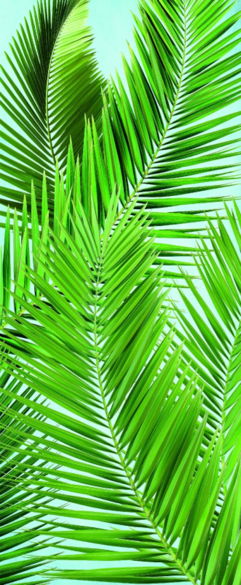 Фотообои на дверь