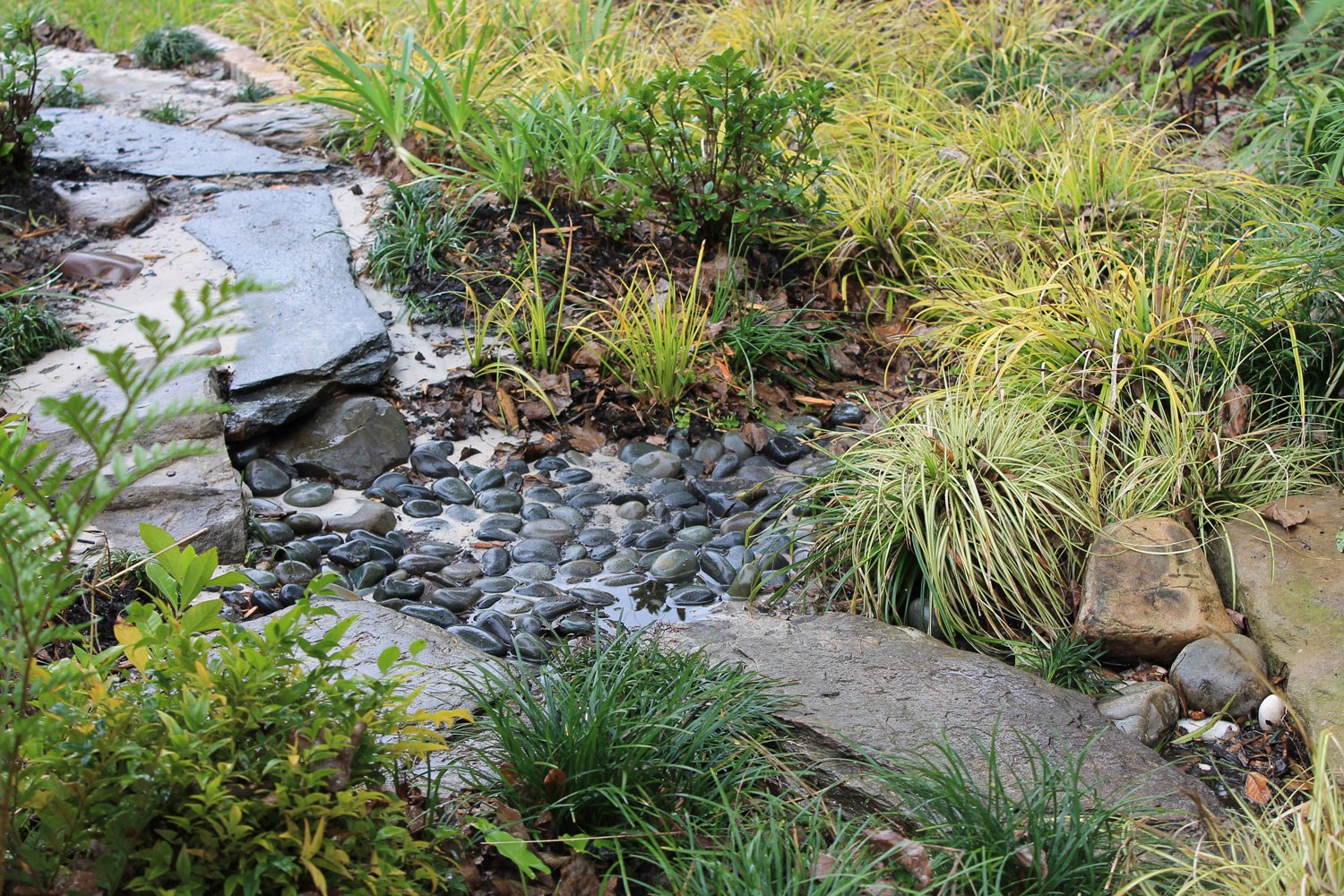Запруда ручья. Сухой ручей Джон Брукс. Декоративный ручей. Сухой ручей в саду. Растения для сухого ручья.