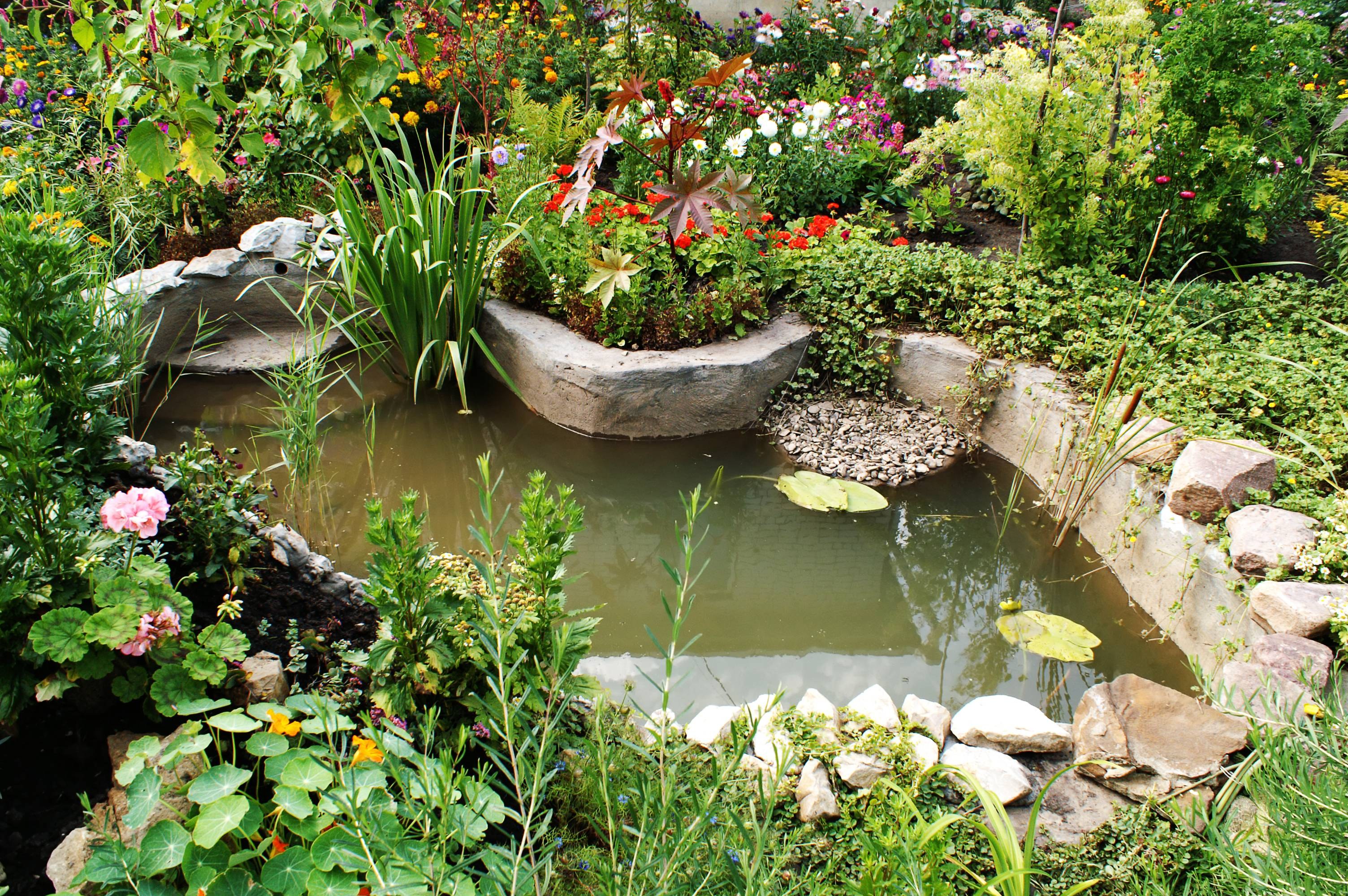 Самодельный пруд. Огородный прудик. Водоем в саду. Прудик на даче. Маленький пруд в саду.
