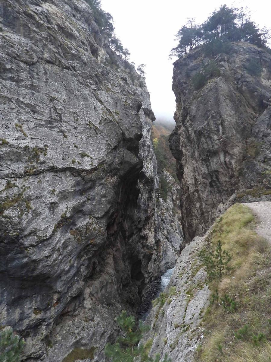 Зеркальный Барс Куртатинское ущелье