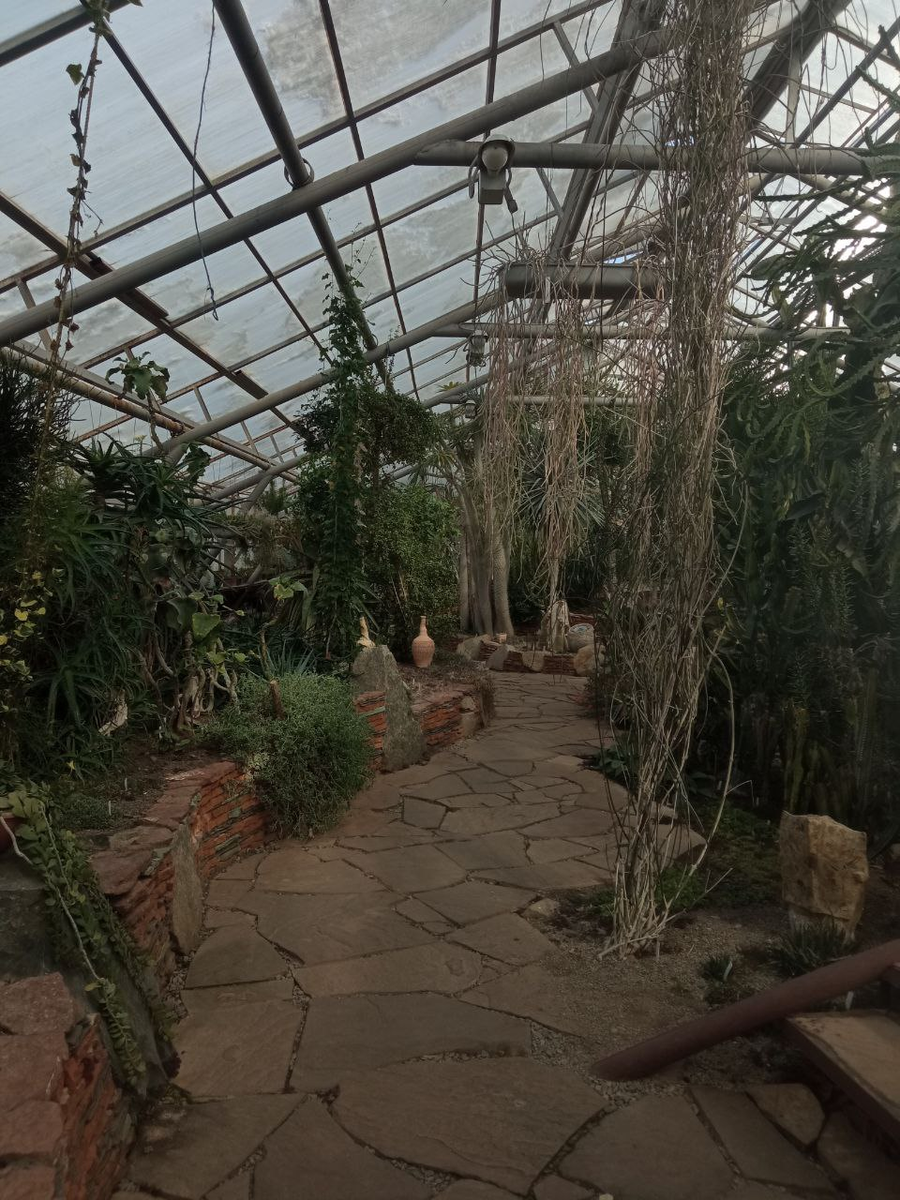 Оранжерея ботанического сада в Москве