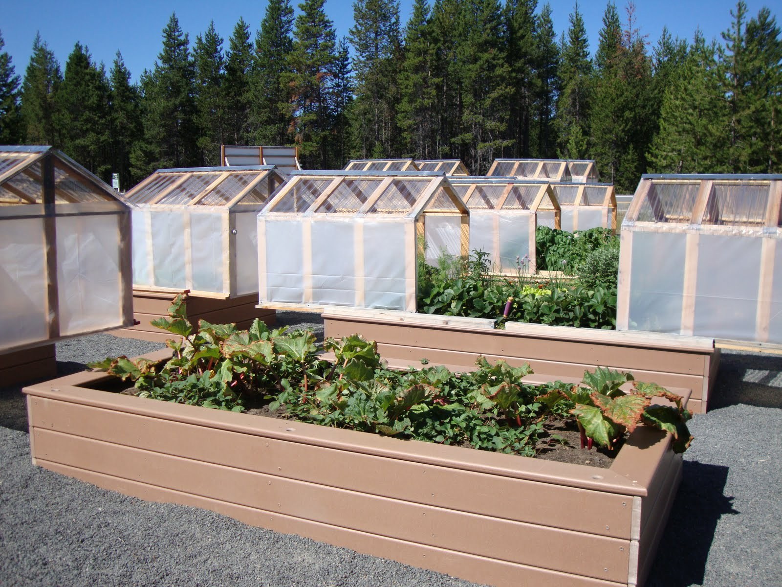 Сделать высокий парник. Парник Greenhouse т-21. Мини ГРИНХАУС парник. Мини теплица Greenhouse. Высокие грядки с парником.