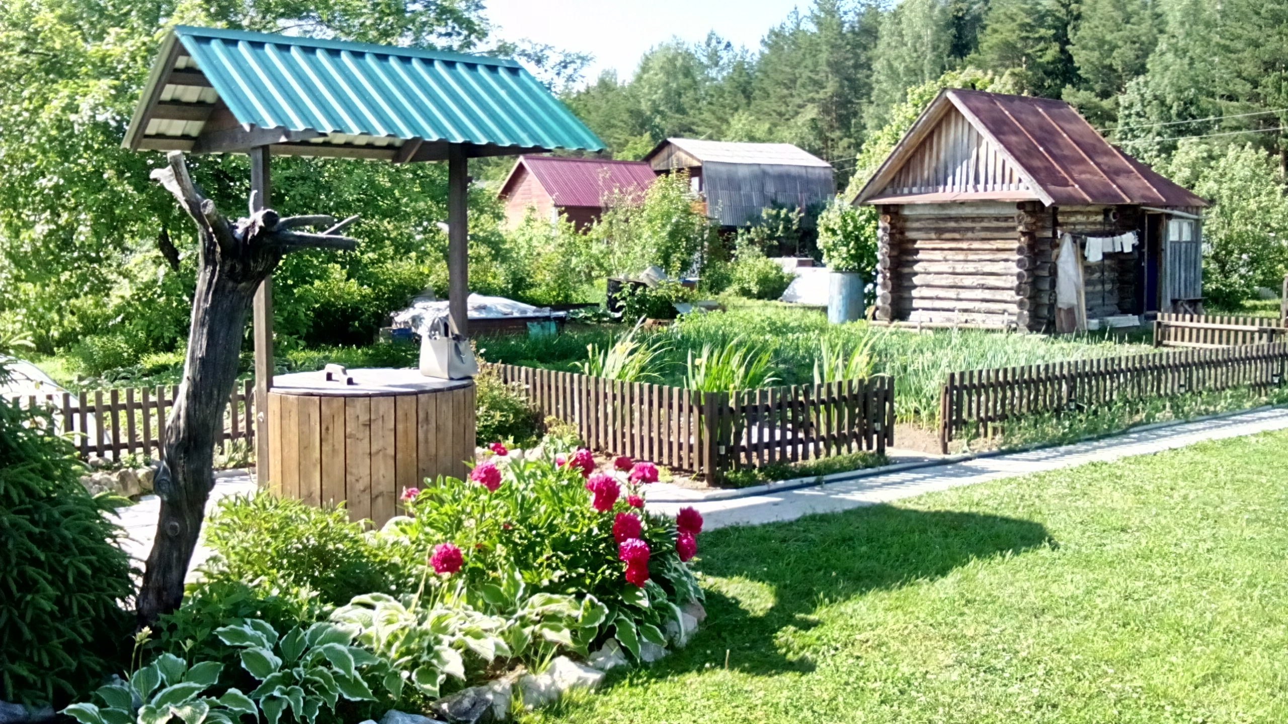 Glav dacha. Дачная Новосибирск сады Сибири. Красивая дача. Моя дача. Огород на даче.