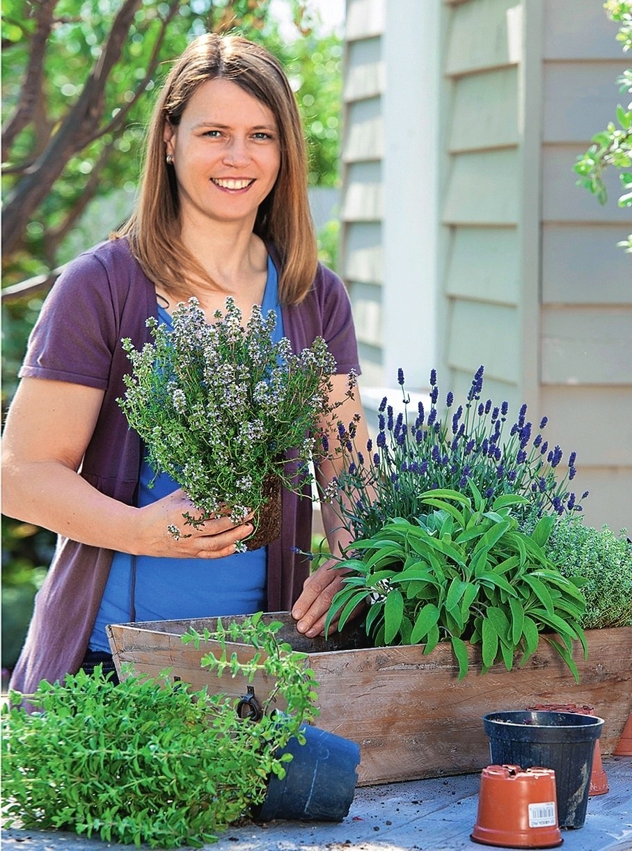 Цветы в горшках в огороде