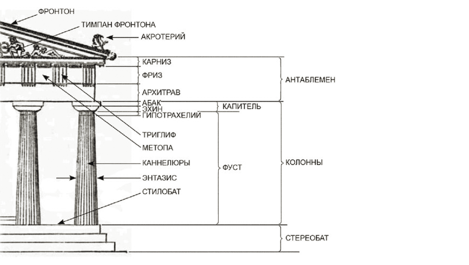 Ионический ордер схема