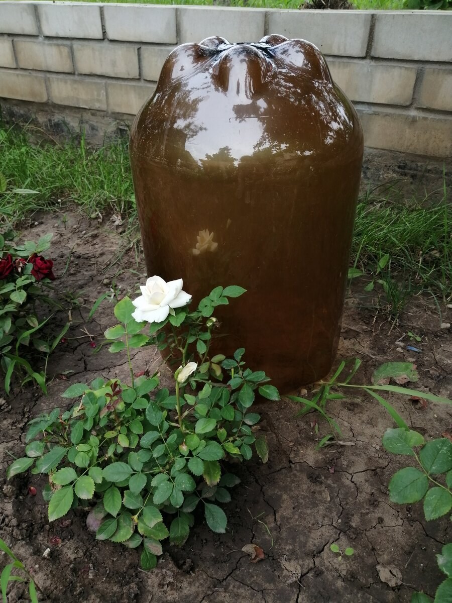 Вазоны из пивных кег пластиковых