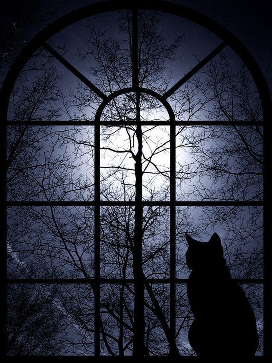 Фреска Аффреско в интерьере гостиной