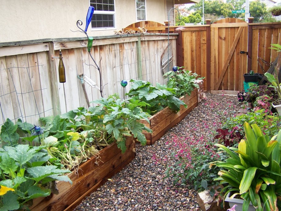 Полезные идеи для сада