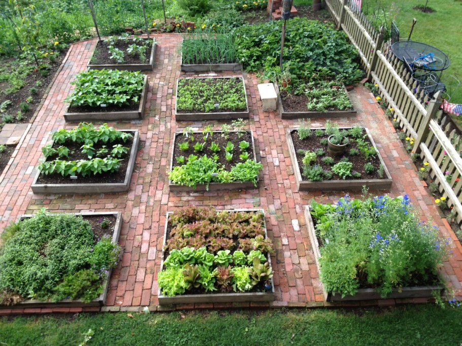 Французский огород Зоя Козичева