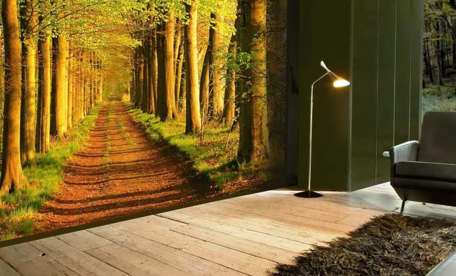 Пейзаж из окна