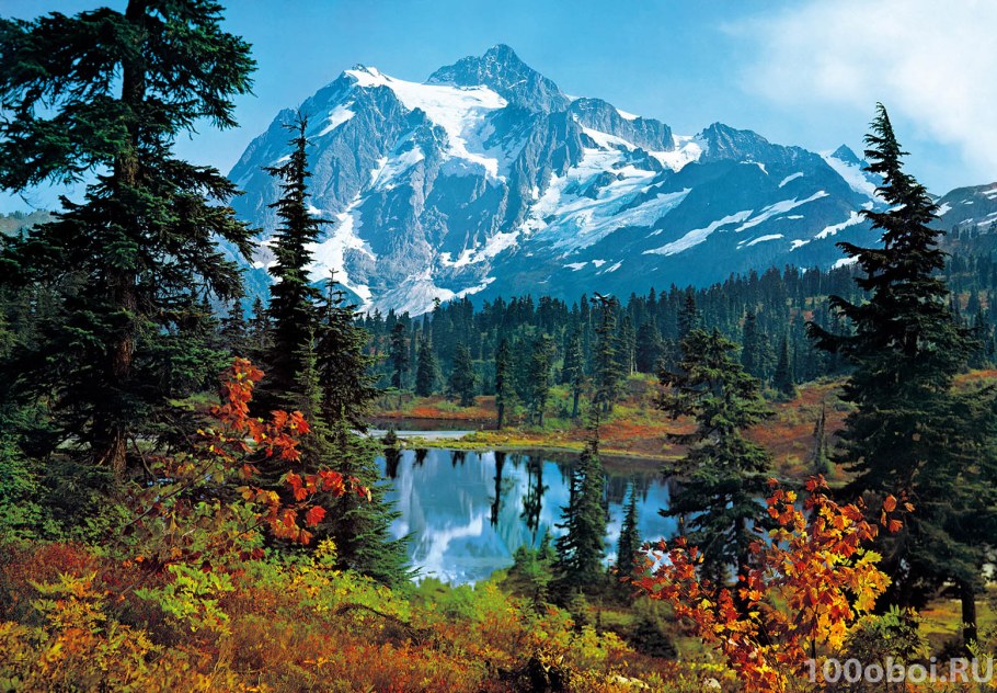 Картины для интерьера